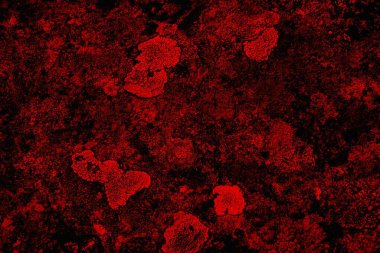 Soyut grunge arkaplanı. Monokrom dokusu. Siyah ve kırmızı desenli arka plan