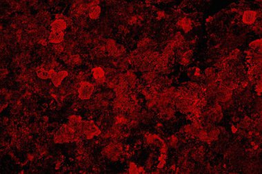 Soyut grunge arkaplanı. Monokrom dokusu. Siyah ve kırmızı desenli arka plan