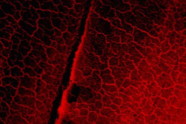 Soyut grunge arkaplanı. Monokrom dokusu. Siyah ve kırmızı desenli arka plan