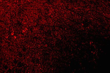 Soyut grunge arkaplanı. Monokrom dokusu. Siyah ve kırmızı desenli arka plan