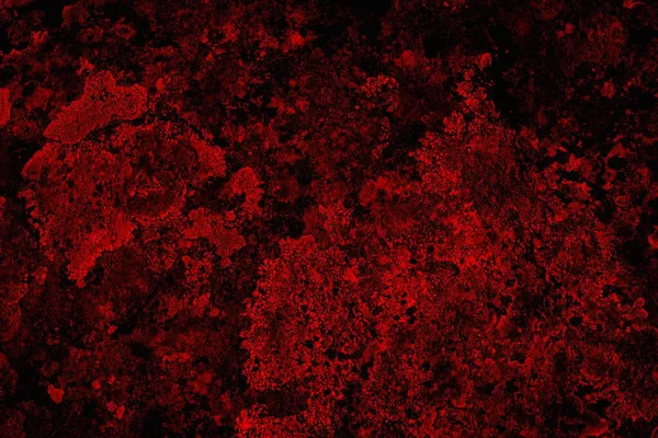 Soyut grunge arkaplanı. Monokrom dokusu. Siyah ve kırmızı desenli arka plan