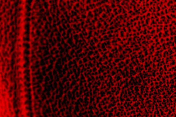 Soyut grunge arkaplanı. Monokrom dokusu. Siyah ve kırmızı desenli arka plan