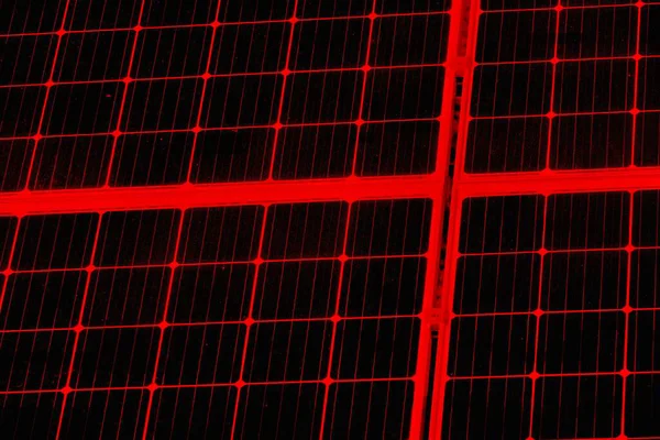 Soyut grunge arkaplanı. Monokrom dokusu. Siyah ve kırmızı desenli arka plan