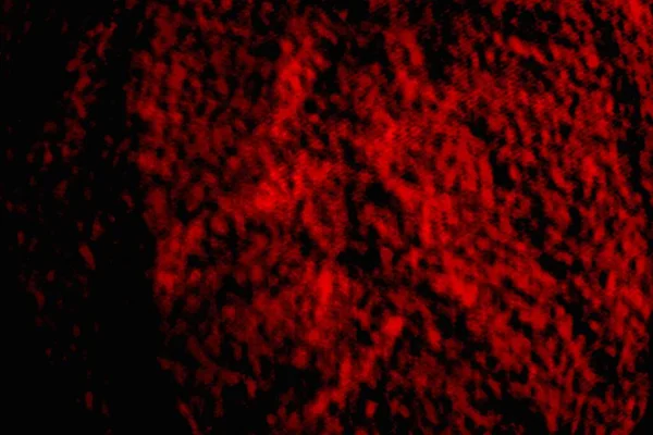 Soyut grunge arkaplanı. Monokrom dokusu. Siyah ve kırmızı desenli arka plan