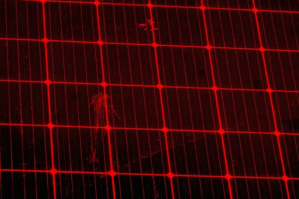 Soyut grunge arkaplanı. Monokrom dokusu. Siyah ve kırmızı desenli arka plan