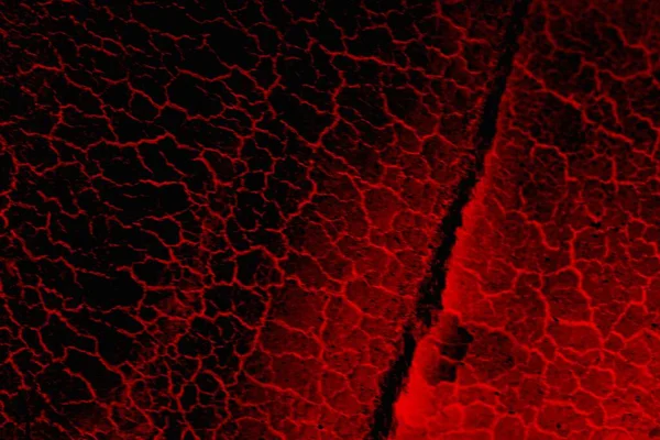 Soyut grunge arkaplanı. Monokrom dokusu. Siyah ve kırmızı desenli arka plan