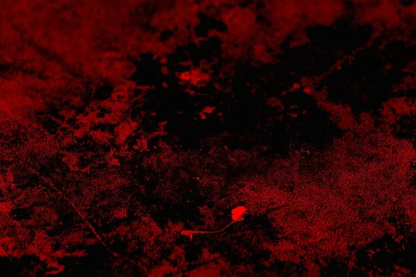 Soyut grunge arkaplanı. Monokrom dokusu. Siyah ve kırmızı desenli arka plan