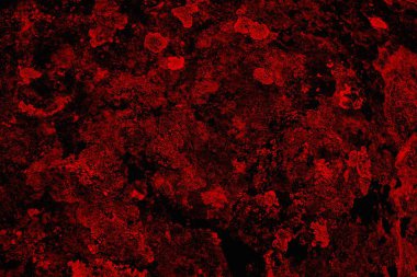 Soyut grunge arkaplanı. Monokrom dokusu. Siyah ve kırmızı desenli arka plan