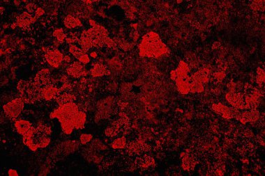 Soyut grunge arkaplanı. Monokrom dokusu. Siyah ve kırmızı desenli arka plan