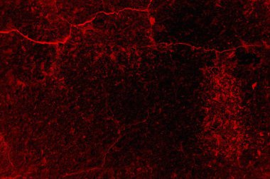Soyut grunge arkaplanı. Monokrom dokusu. Siyah ve kırmızı desenli arka plan