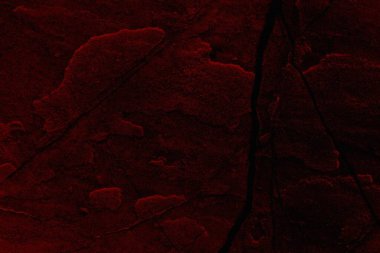 Soyut grunge arkaplanı. Monokrom dokusu. Siyah ve kırmızı desenli arka plan