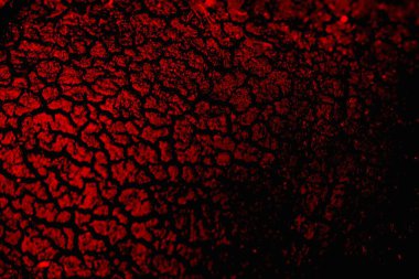 Soyut grunge arkaplanı. Monokrom dokusu. Siyah ve kırmızı desenli arka plan