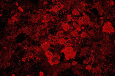 Soyut grunge arkaplanı. Monokrom dokusu. Siyah ve kırmızı desenli arka plan