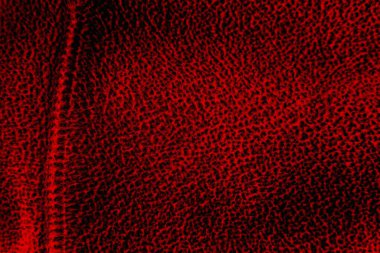 Soyut grunge arkaplanı. Monokrom dokusu. Siyah ve kırmızı desenli arka plan