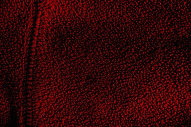 Soyut grunge arkaplanı. Monokrom dokusu. Siyah ve kırmızı desenli arka plan