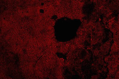 Soyut grunge arkaplanı. Monokrom dokusu. Siyah ve kırmızı desenli arka plan