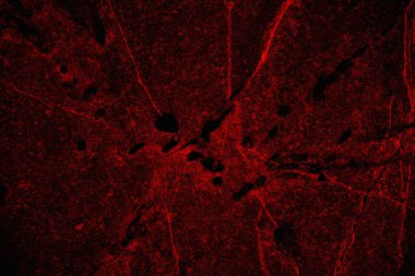 Soyut grunge arkaplanı. Monokrom dokusu. Siyah ve kırmızı desenli arka plan