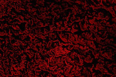Soyut grunge arkaplanı. Monokrom dokusu. Siyah ve kırmızı desenli arka plan
