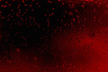 Soyut grunge arkaplanı. Monokrom dokusu. Siyah ve kırmızı desenli arka plan