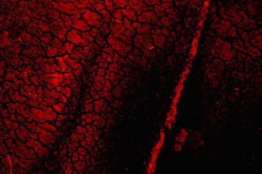 Soyut grunge arkaplanı. Monokrom dokusu. Siyah ve kırmızı desenli arka plan