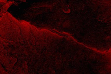 Soyut grunge arkaplanı. Monokrom dokusu. Siyah ve kırmızı desenli arka plan