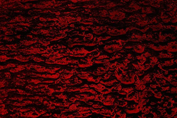 Soyut grunge arkaplanı. Monokrom dokusu. Siyah ve kırmızı desenli arka plan