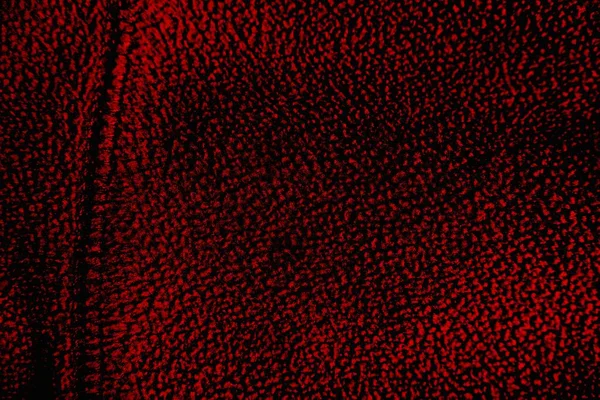 Soyut grunge arkaplanı. Monokrom dokusu. Siyah ve kırmızı desenli arka plan