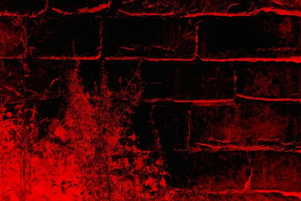 Soyut grunge arkaplanı. Monokrom dokusu. Siyah ve kırmızı desenli arka plan