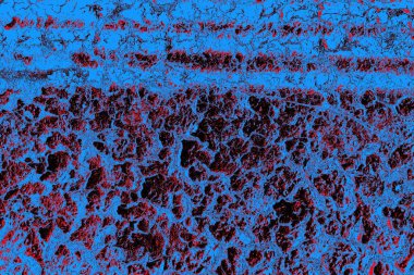 Kuru toprakta kasılma ve kurutma çatlakları var. Topraktaki su eksikliğinden dolayı. Küresel ısınma kavramı. İklim ısınması kurumuş topraklar.