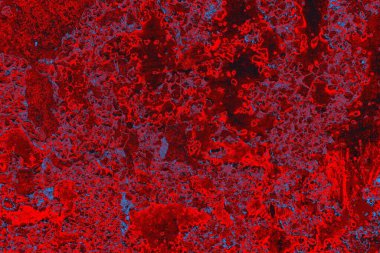 Soyut grunge arkaplanı. Monokrom dokusu. Mavi ve kırmızı desenli arkaplan