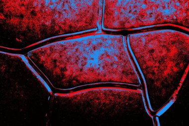 Arkaplan olarak kullanmak için duvarın resmi.