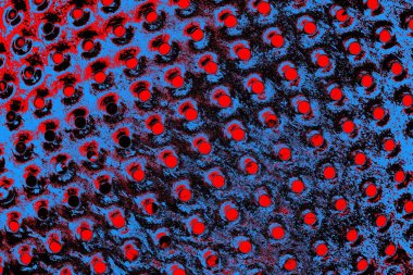 Kırmızı ve mavi renkli grungy duvar, desenli arka plan