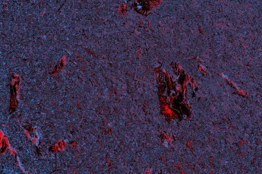 Arkaplan olarak kullanmak için duvarın resmi.