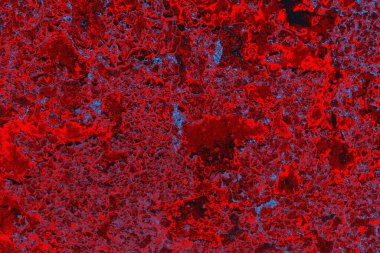 Soyut grunge arkaplanı. Monokrom dokusu. Mavi ve kırmızı desenli arkaplan