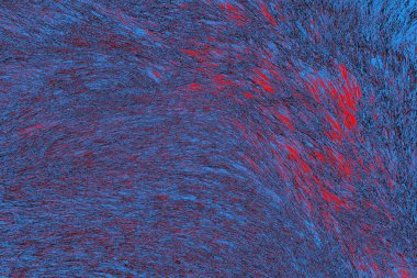 Yaban domuzu kürkü, vahşi hayvan, yaklaşın.