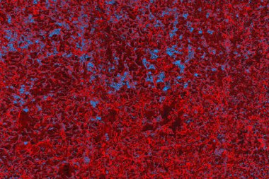 Soyut grunge arkaplanı. Monokrom dokusu. Mavi ve kırmızı desenli arkaplan