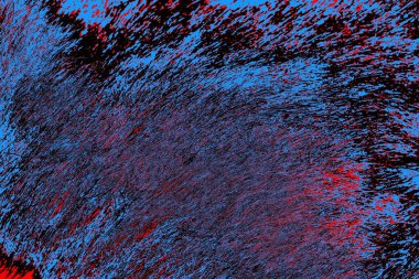 Yaban domuzu kürkü, vahşi hayvan, yaklaşın.