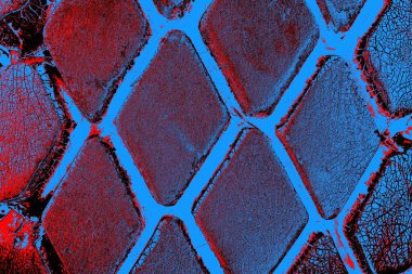 Boyalı araba lastiği yakın çekim dokusu arka planı