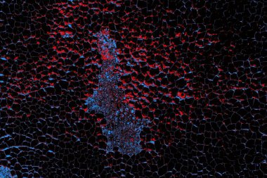 Kırmızı ve mavi renkli grungy duvar, desenli arka plan