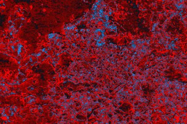 Soyut grunge arkaplanı. Monokrom dokusu. Mavi ve kırmızı desenli arkaplan