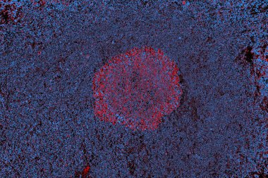 Kırmızı ve mavi renkli grungy duvar, desenli arka plan