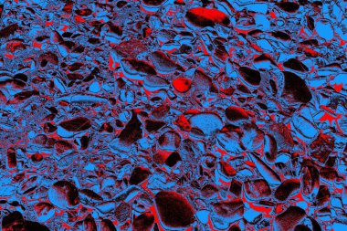 Doğada kayalık yol