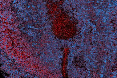 Kırmızı ve mavi renkli grungy duvar, desenli arka plan