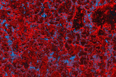 Soyut grunge arkaplanı. Monokrom dokusu. Mavi ve kırmızı desenli arkaplan