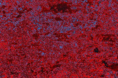 Soyut grunge arkaplanı. Monokrom dokusu. Mavi ve kırmızı desenli arkaplan