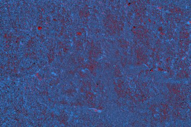 Arkaplan olarak kullanmak için duvarın resmi.