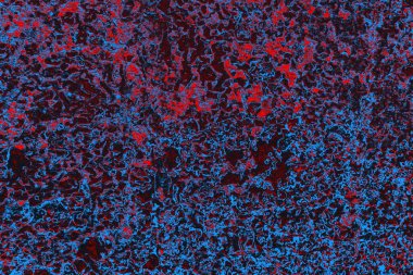 Kırmızı ve mavi renkli grungy duvar, desenli arka plan