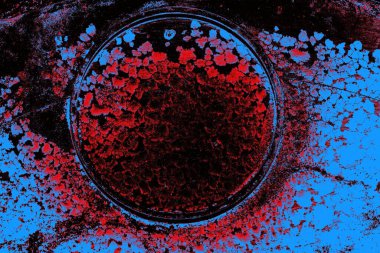Kırmızı ve mavi renkli grungy duvar, desenli arka plan