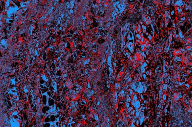 Taş dokusu arkaplanı kapat