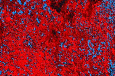 Soyut grunge arkaplanı. Monokrom dokusu. Mavi ve kırmızı desenli arkaplan